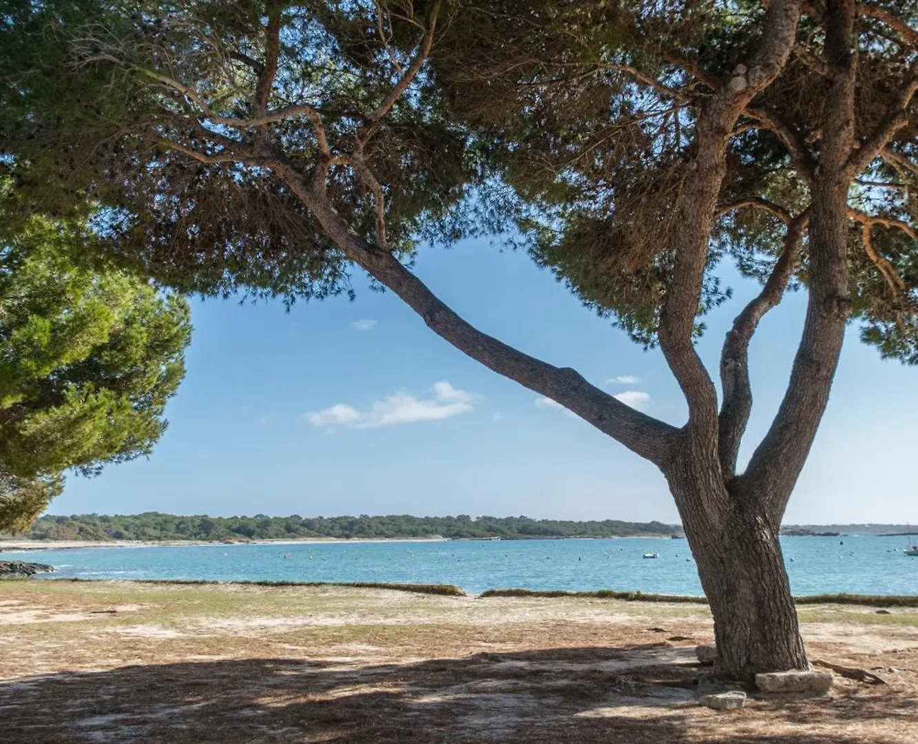 Holiday home Alma Libre Beach Apartment Colonia de Sant Jordi Spain